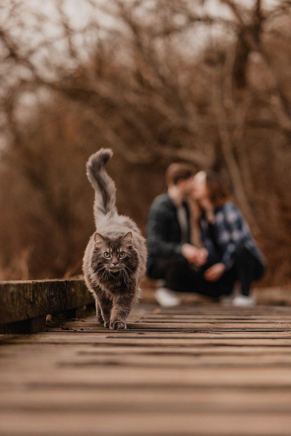 carousel-hero-element image-7