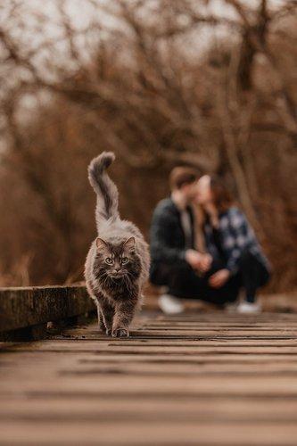 mobile - carousel-hero-element image-7